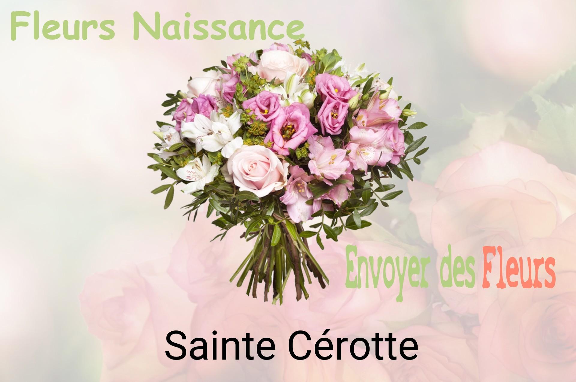 Bouquet de fleurs de naissance livré à Sainte-Cérotte