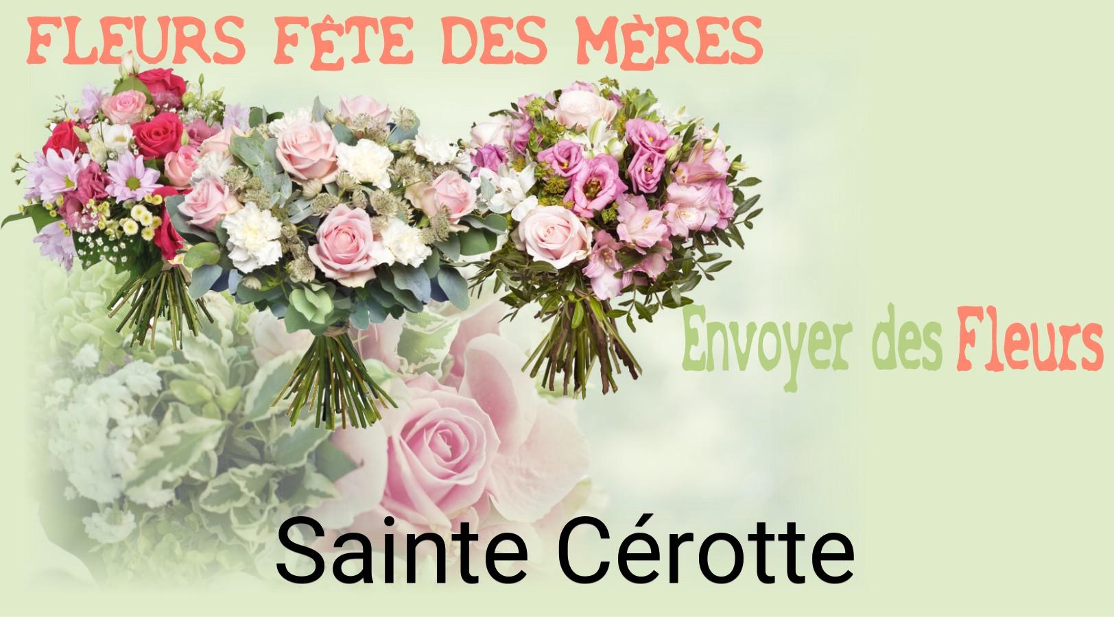 Bouquet de Fête des Mères livré à Sainte-Cérotte